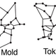 Image for article titled What Slime Molds And Subways Have In Common, According to Scientists